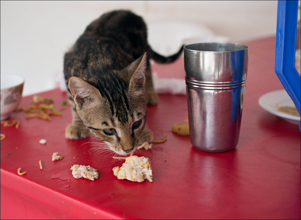 Somaliland via Ethiopia Sep2014 079