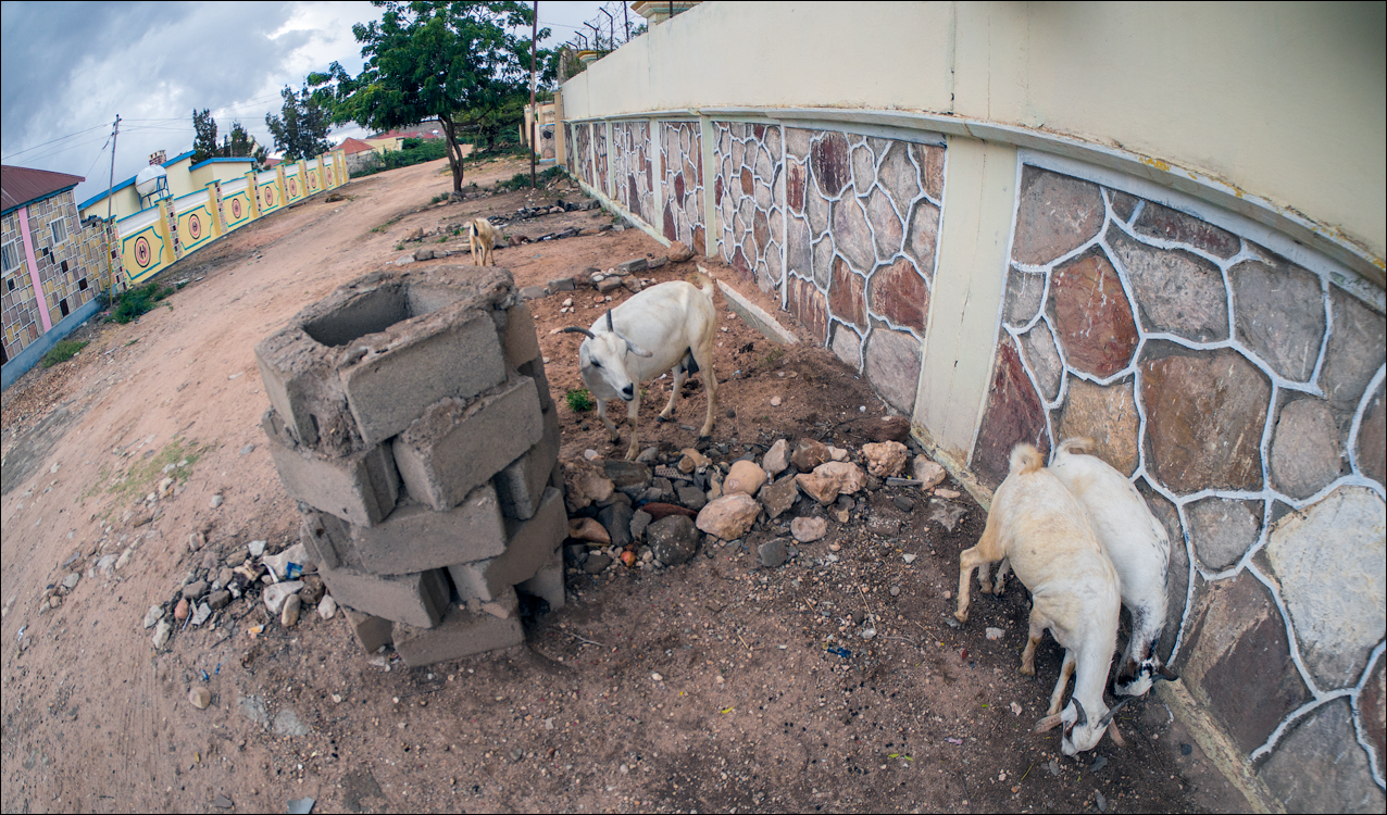 Somaliland via Ethiopia Sep2014 082