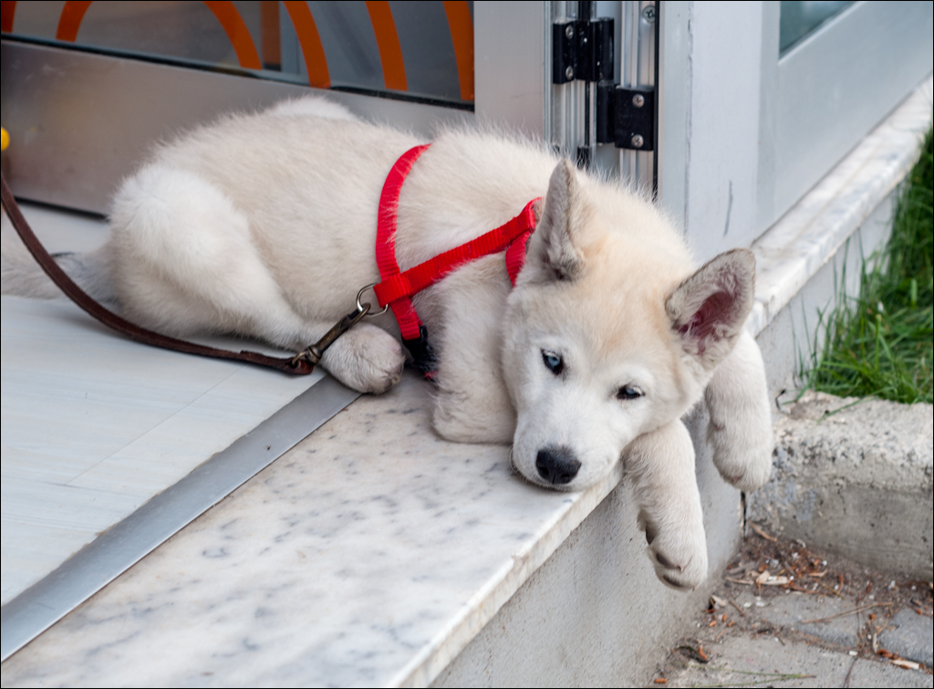 Titana Dajti April2009 20080414005