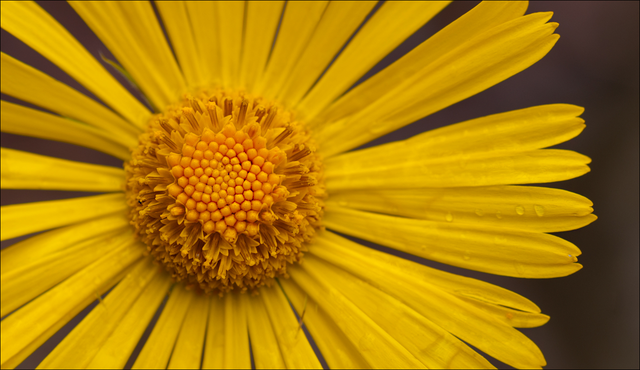 Titana Dajti April2009 20080417039