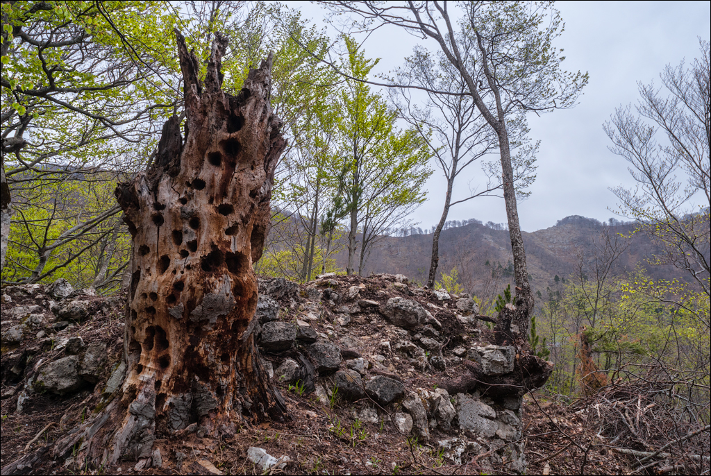 Titana Dajti April2009 20080417054