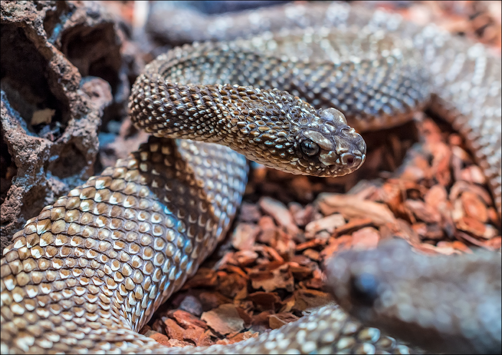 Salzburg 20180101041