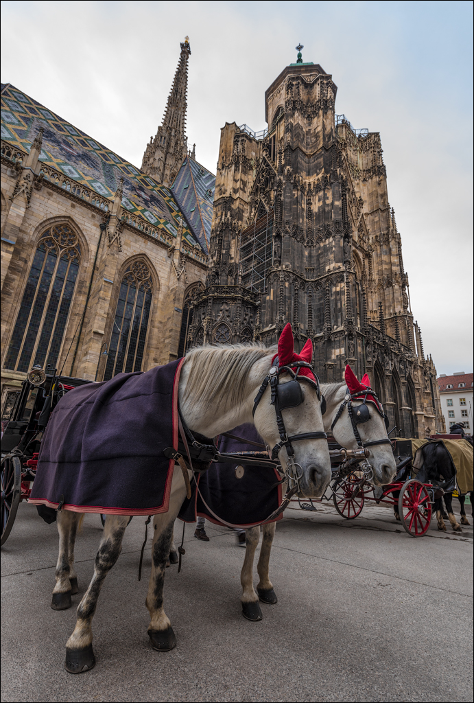 Vienna 2 20180101057