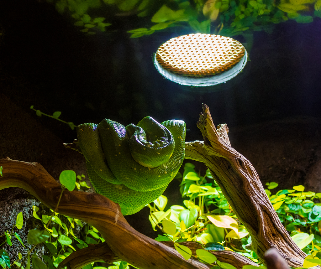 Vienna 2 20180101100