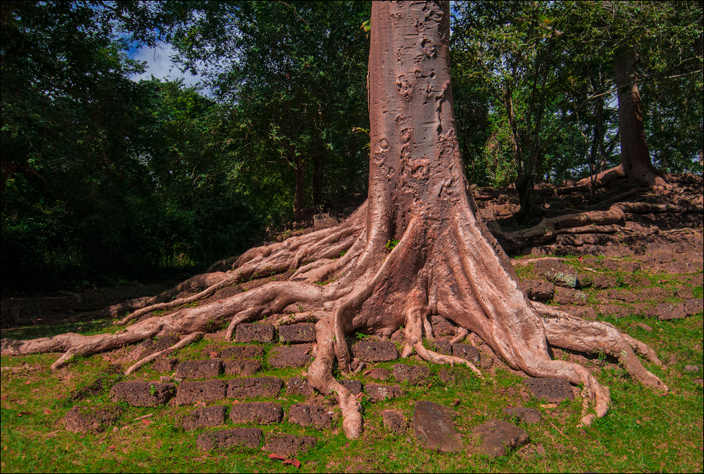 Roulous Prea Khan Nov209 053