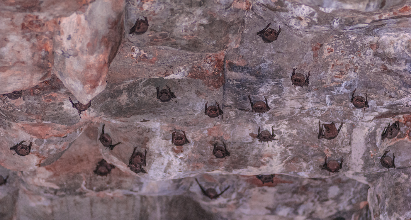 Angkor Wat Nov2009 035