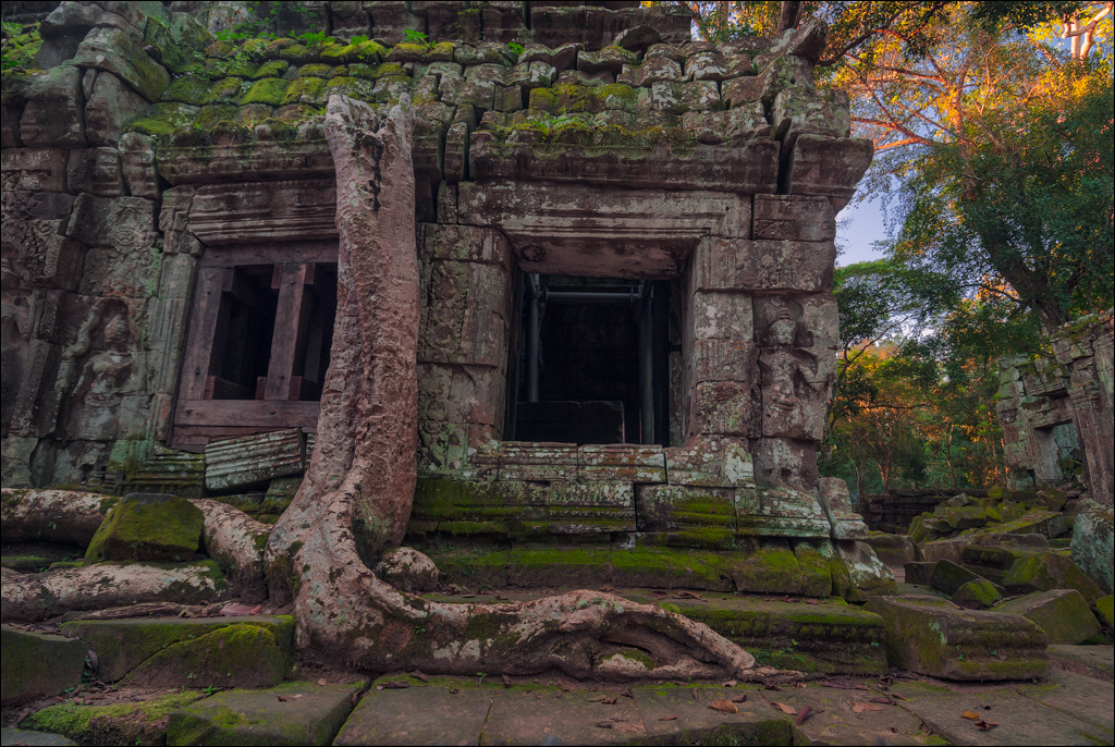 Ta Prohm Nov2009 005