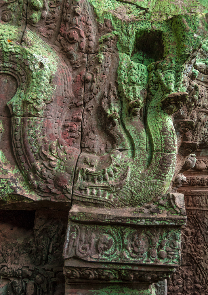 Ta Prohm Nov2009 008