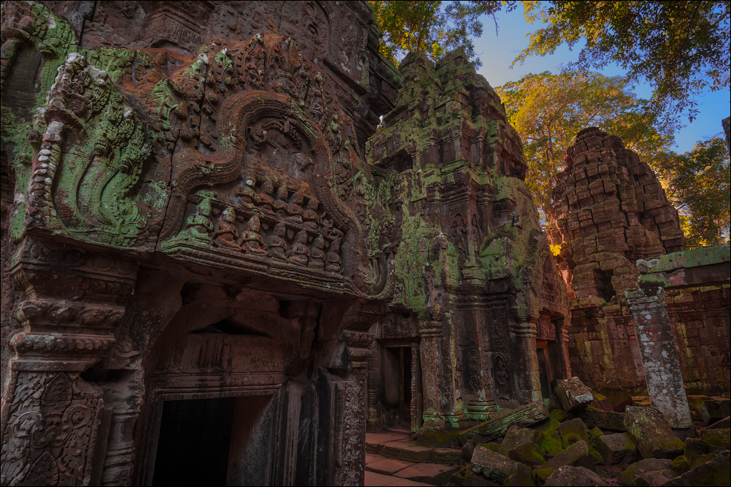Ta Prohm Nov2009 020