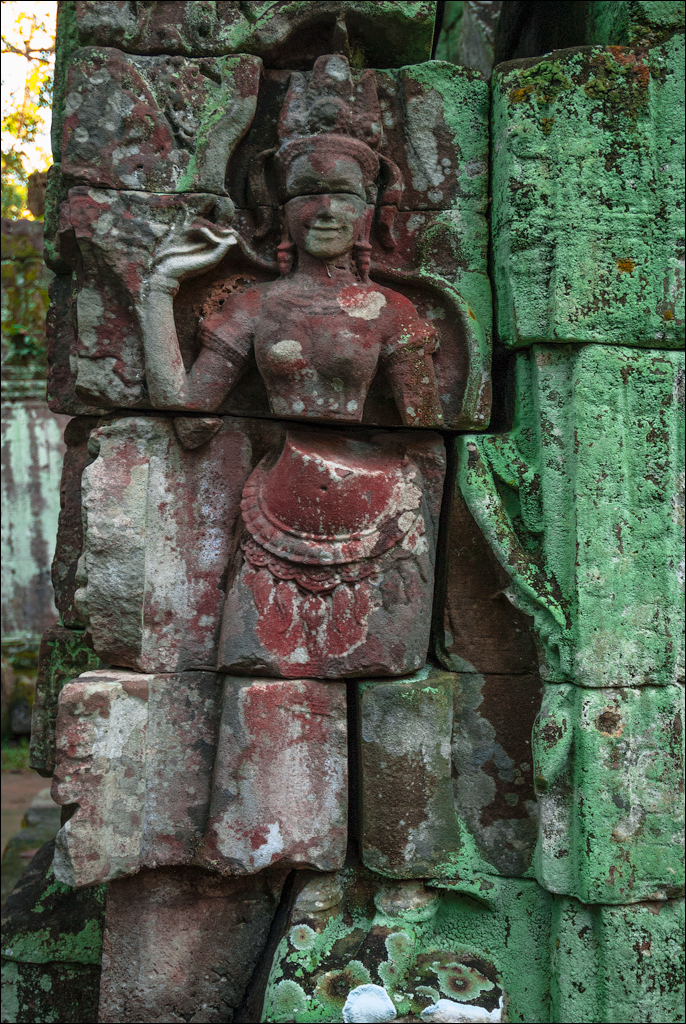 Ta Prohm Nov2009 021