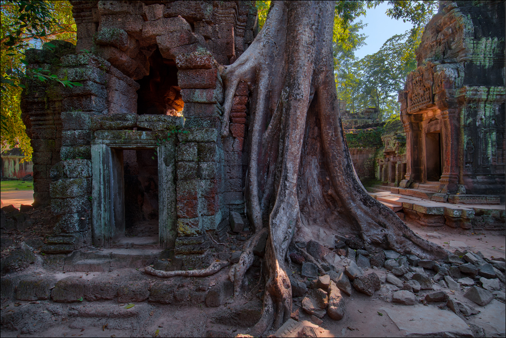 Ta Prohm Nov2009 026