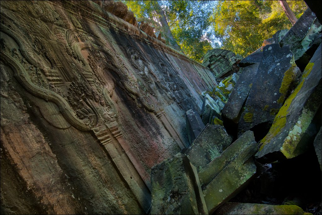 Ta Prohm Nov2009 028