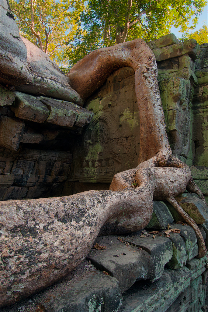 Ta Prohm Nov2009 029