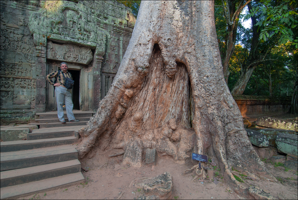 Ta Prohm Nov2009 034