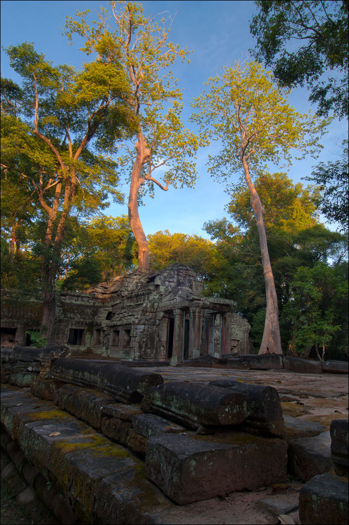 Ta Prohm Nov2009 035