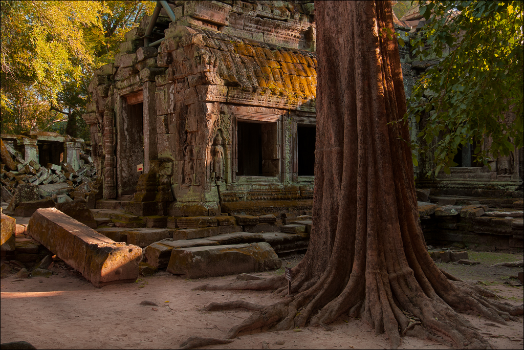 Ta Prohm Nov2009 052
