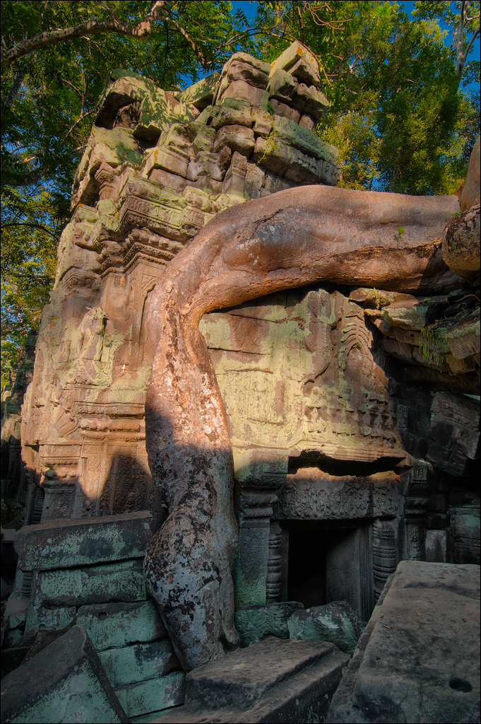 Ta Prohm Nov2009 062
