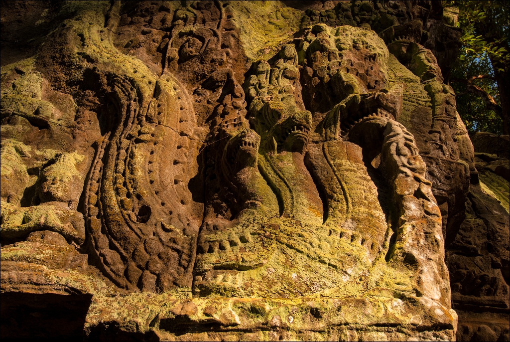 Ta Prohm Nov2009 069