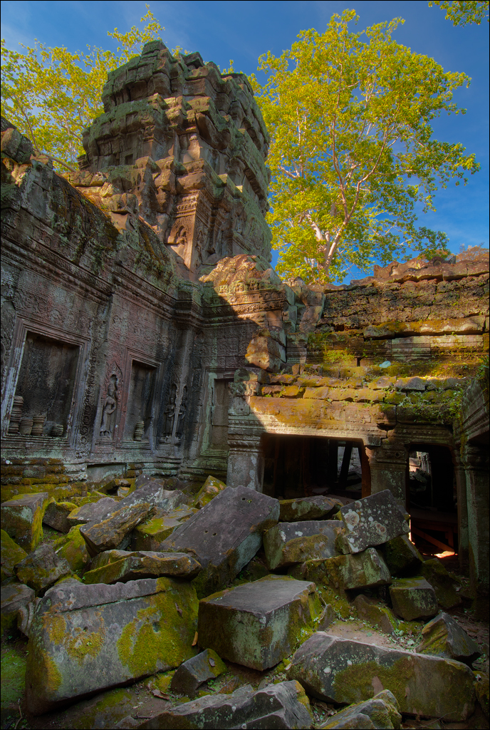 Ta Prohm Nov2009 070