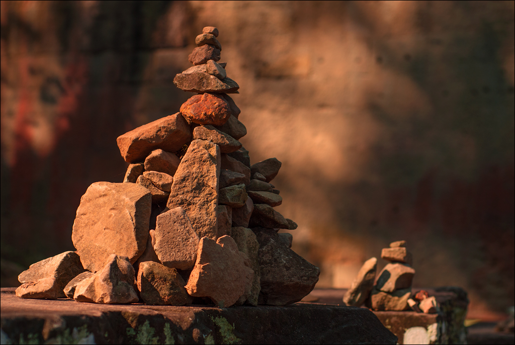 Ta Prohm Nov2009 071