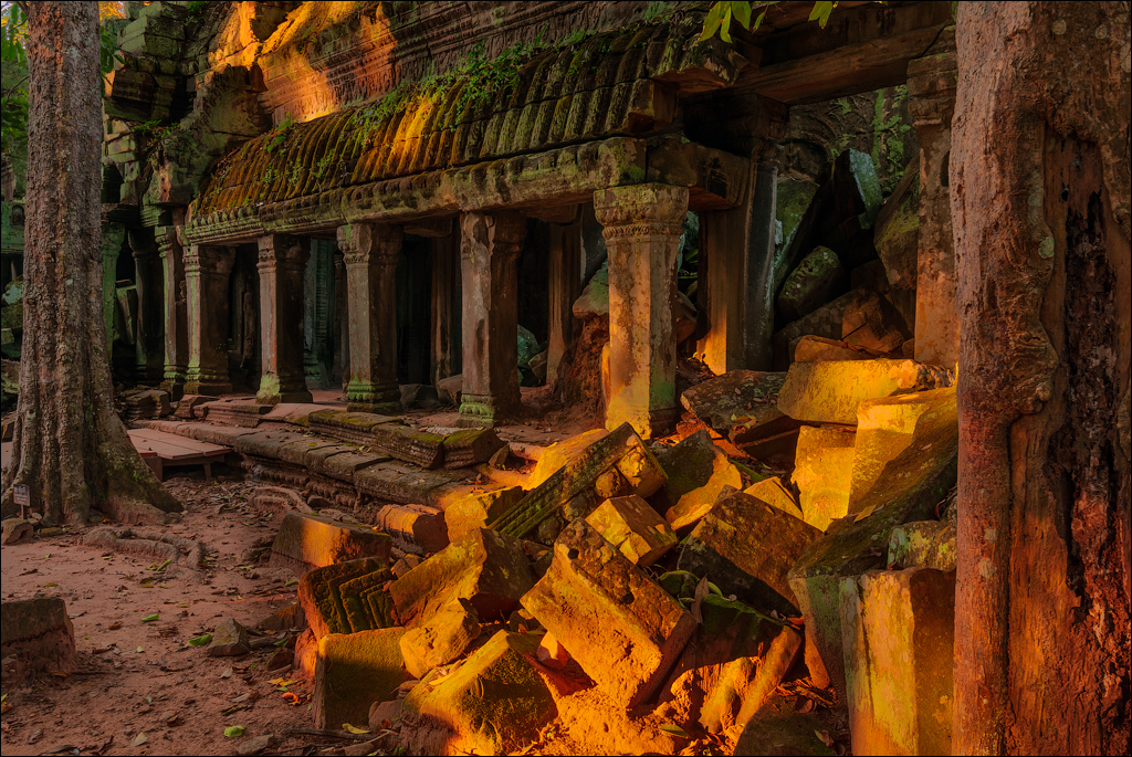 Ta Prohm Nov2009 084