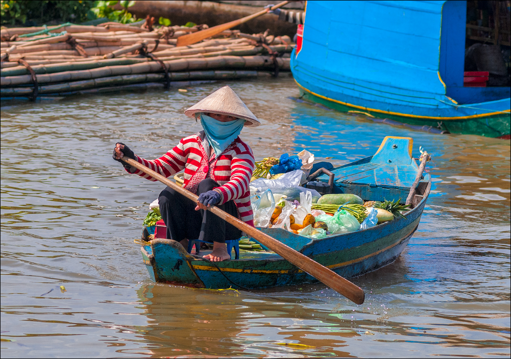 PhnomPehn TonleSap Nov2009 061