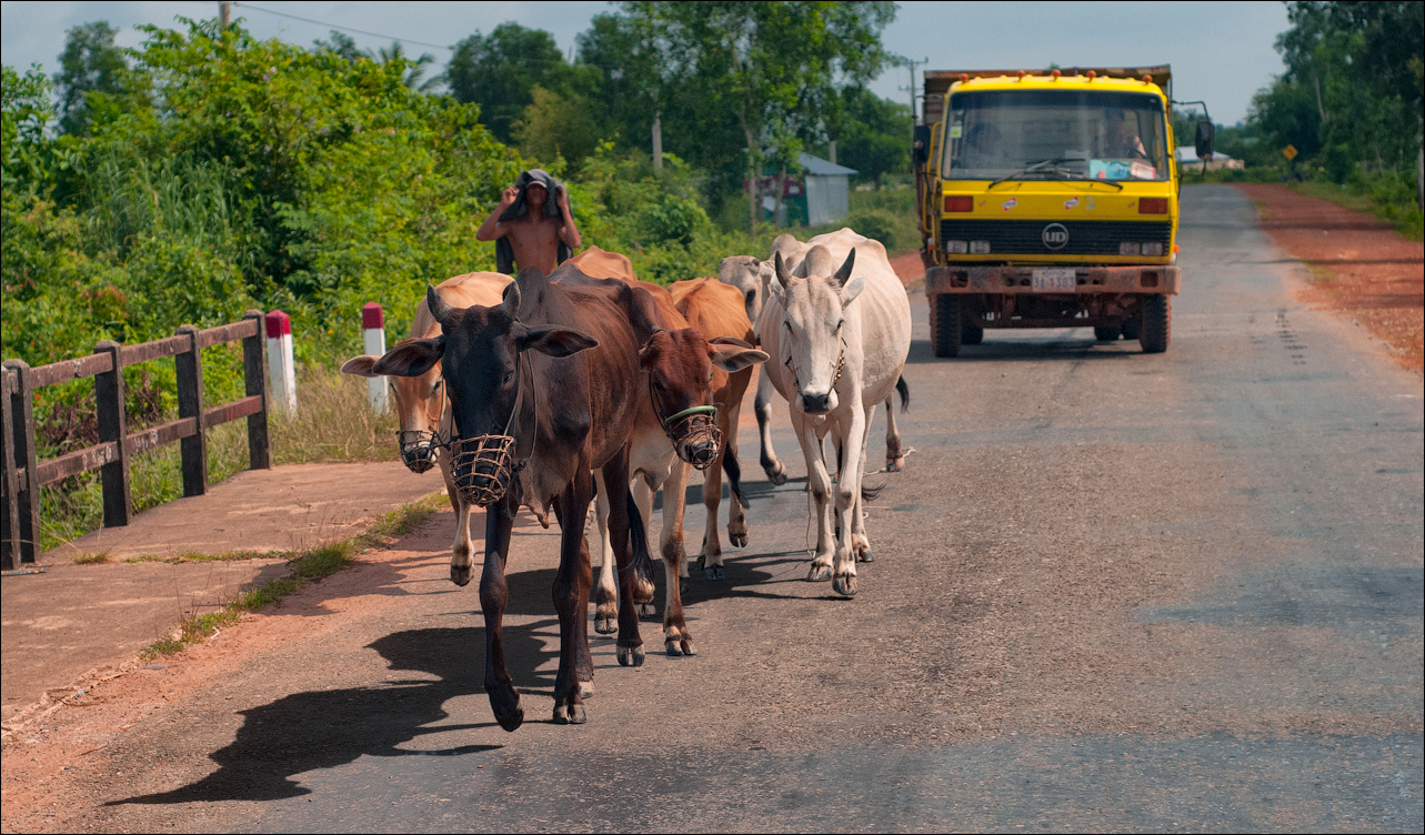 Kampot Bokor Nov2009 041