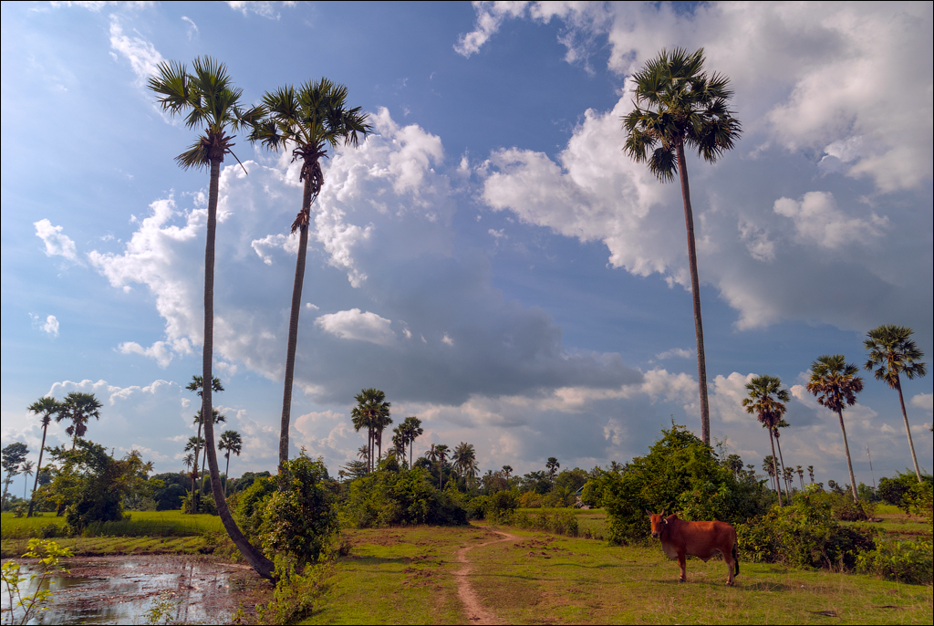Kampot Bokor Nov2009 052