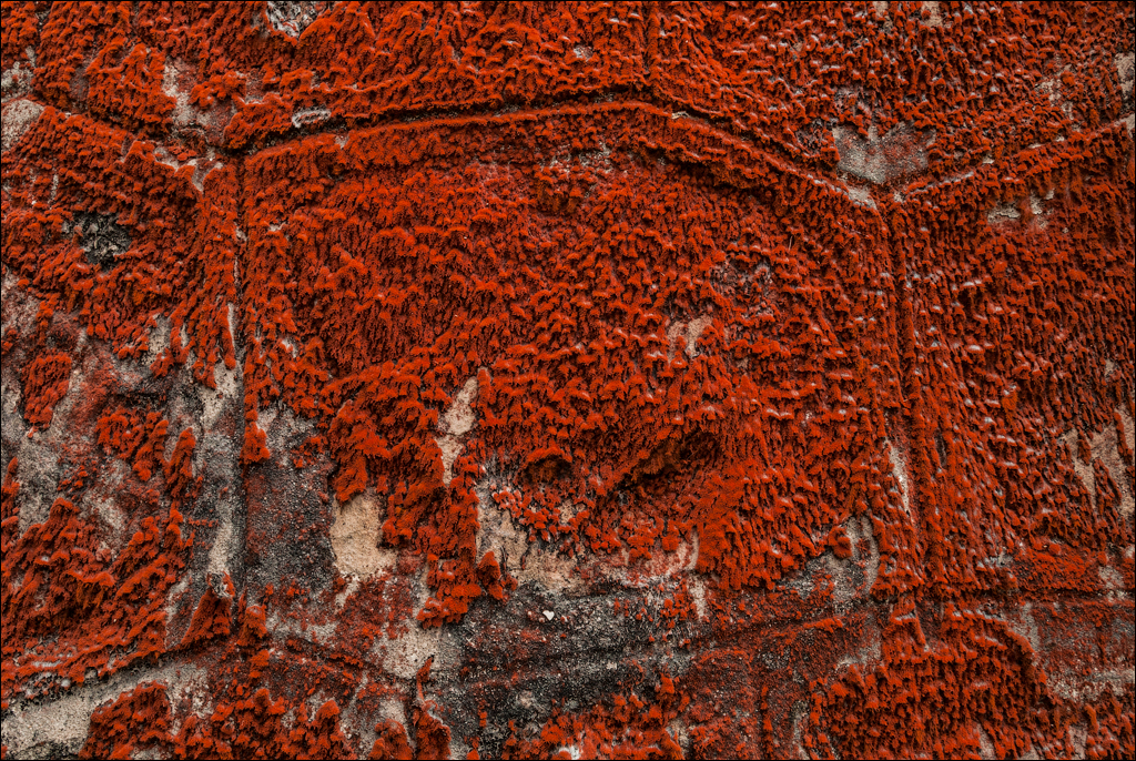 Kampot Bokor Nov2009 077