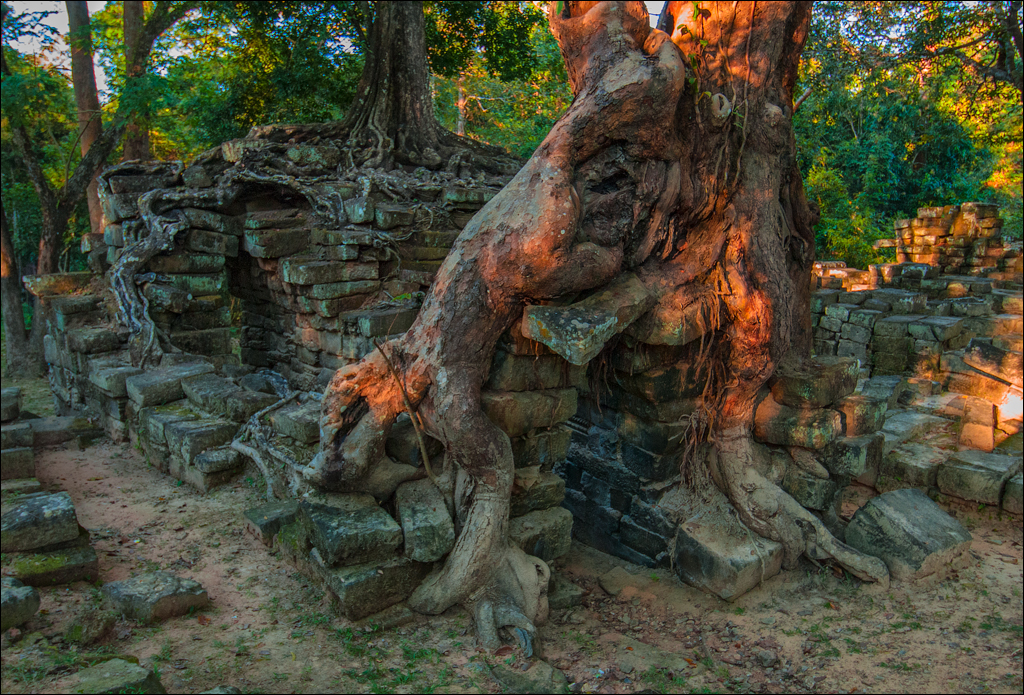 MinorTemples Appsaras Nov2009 047