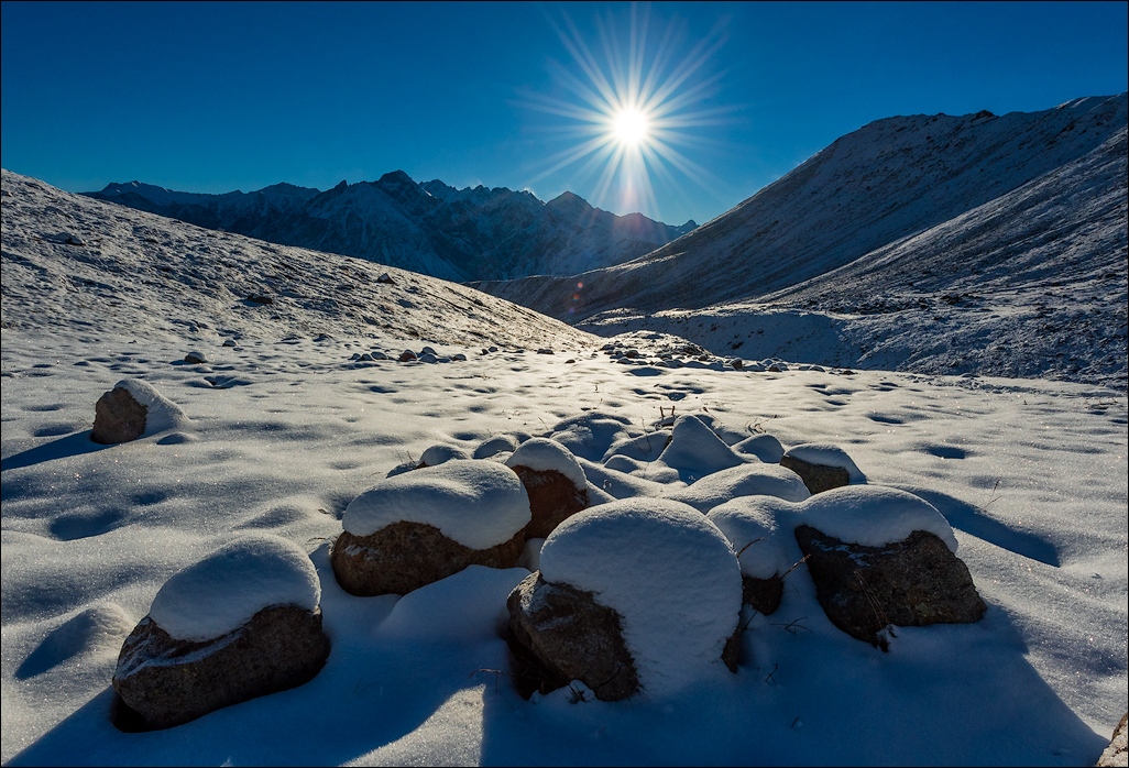 Georgia 16092407451277 2