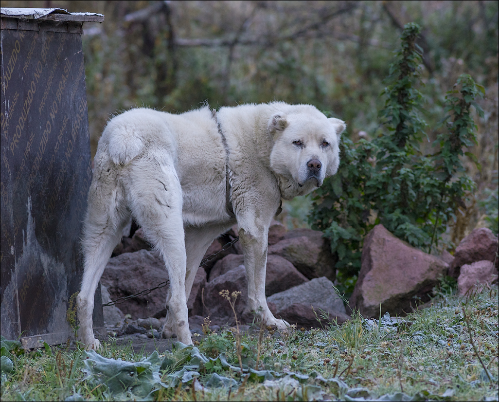 Georgia 160927053628206