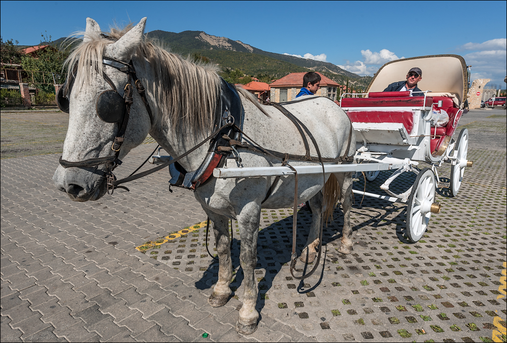 Georgia 161001102001638