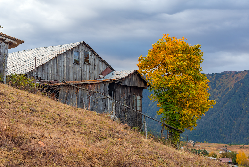 Georgia 160928052604250