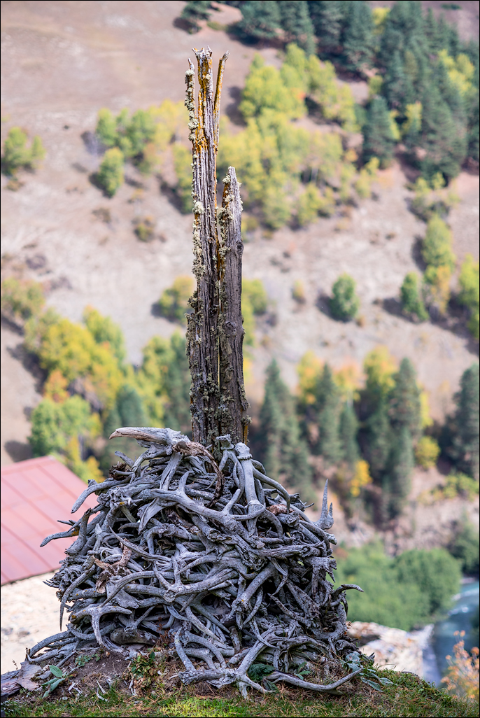 Georgia 160928102811300