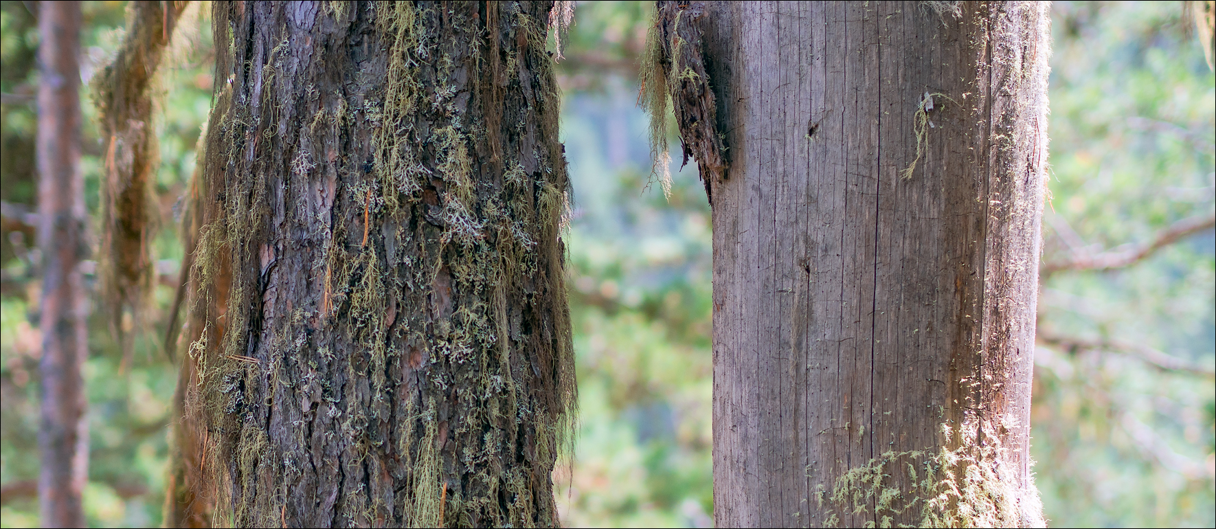 Georgia 160928105615304