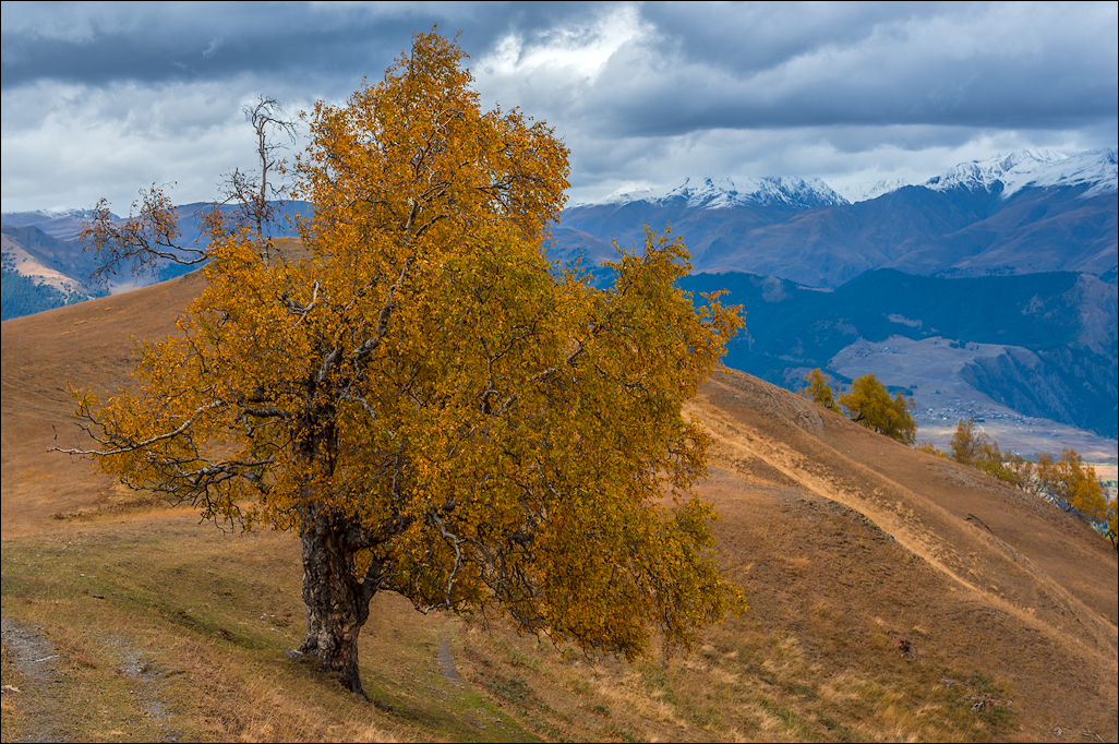 Georgia 160928135911334