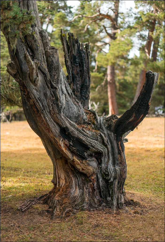 Georgia 160928142222337