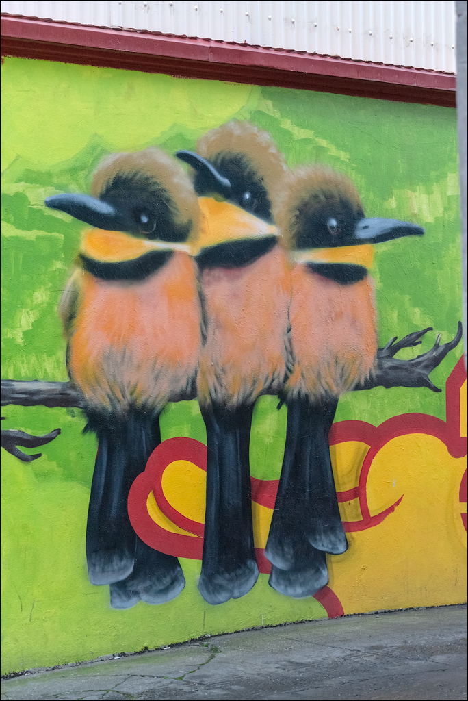 Reykjavik2 04012020 245