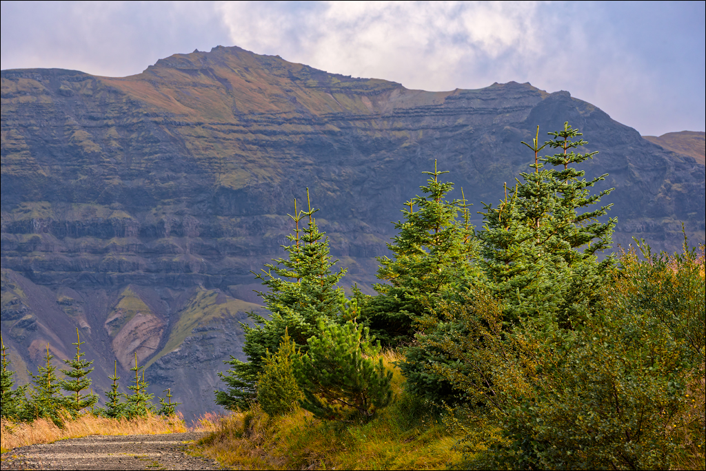 Grundarfjordur 2023 225