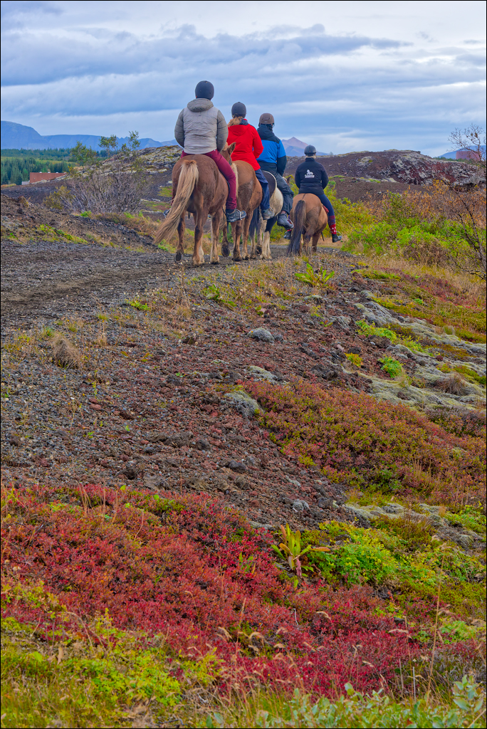 RaudholarCalgahraun 2023 107