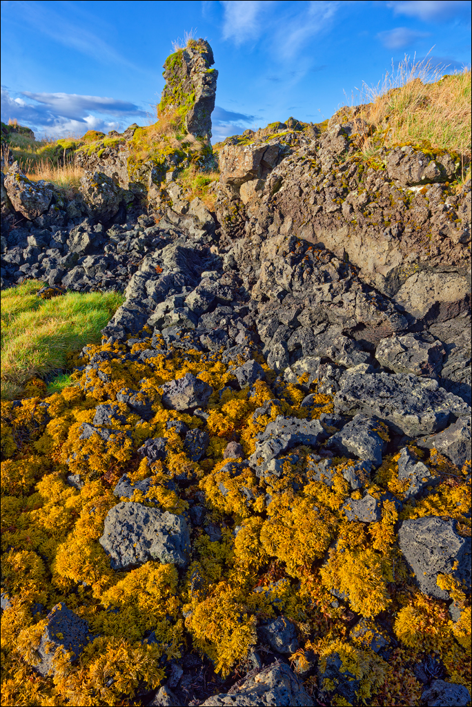 RaudholarCalgahraun 2023 147