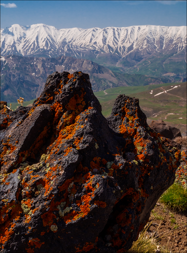 Iran2016050208134673