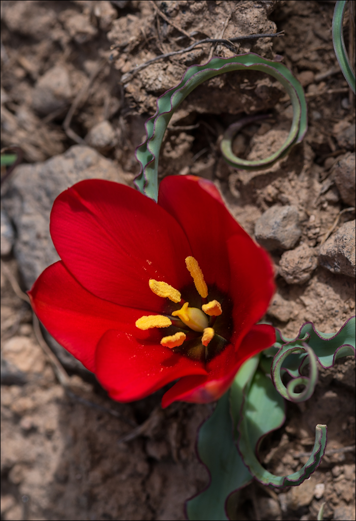 Iran20160505074012218