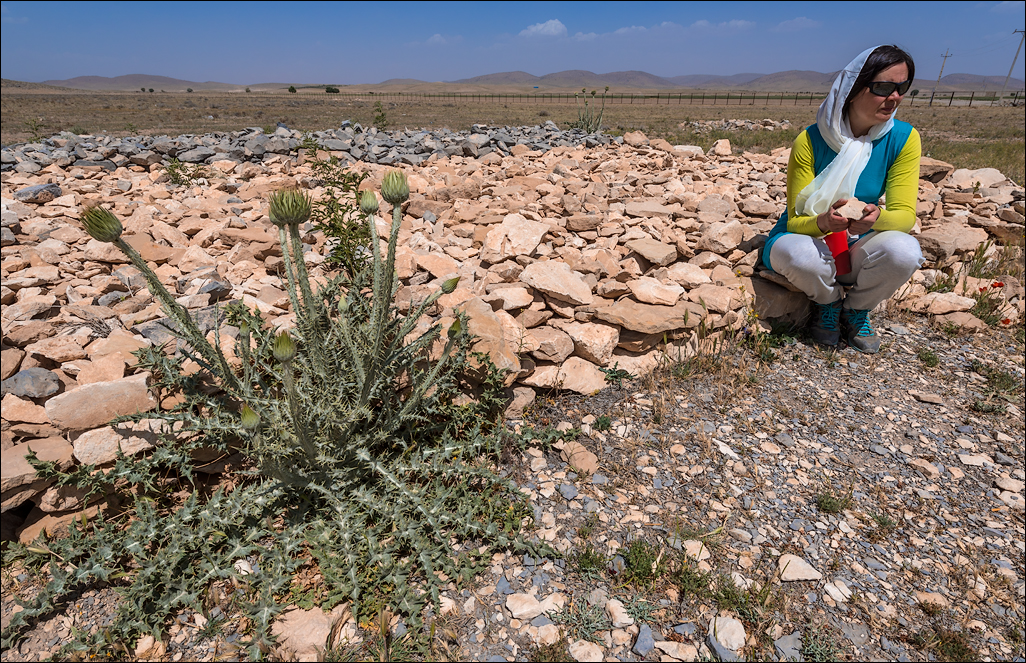 Iran20160507120554716