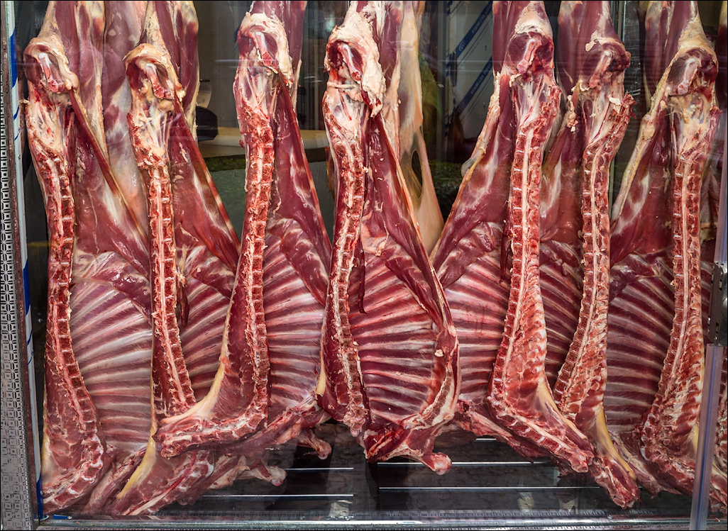 Iran201605101536331563