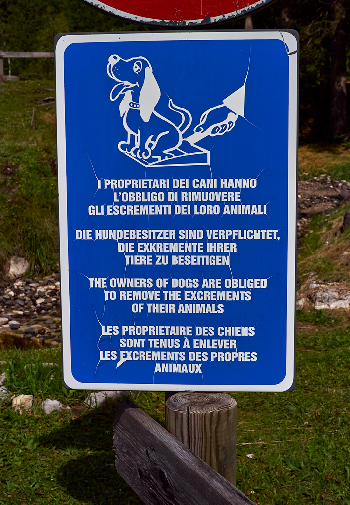 Dolomites 2017 4 069069