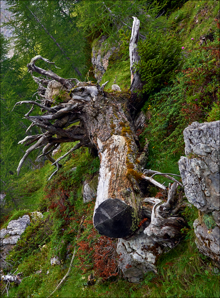 Dolomites 2017 4 070070