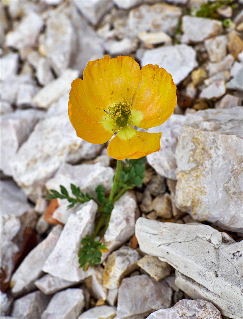 Dolomites 2017 5 048048