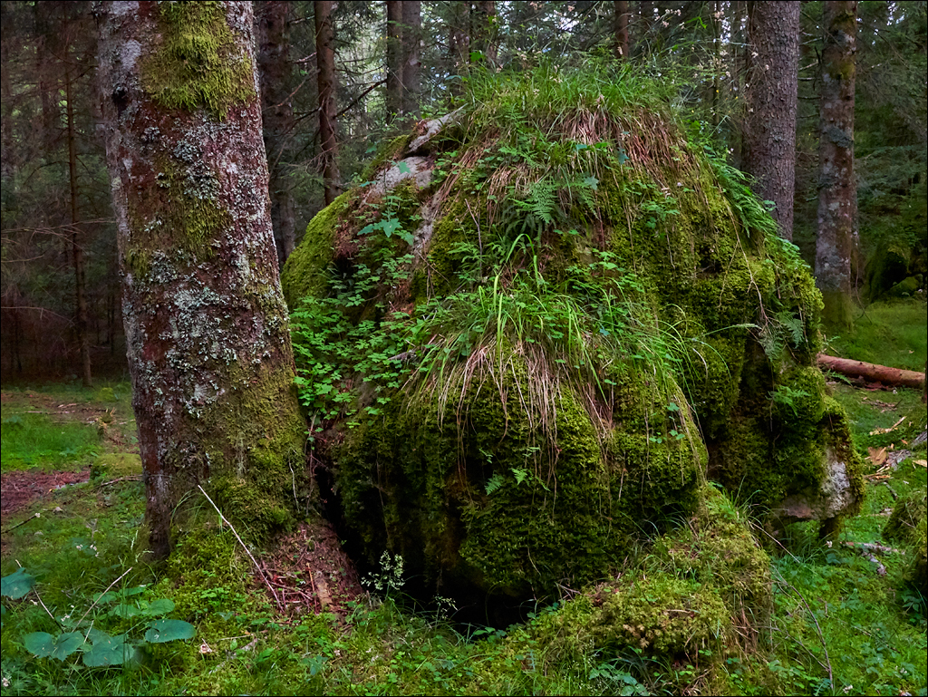 Dolomites 2017 5 127127